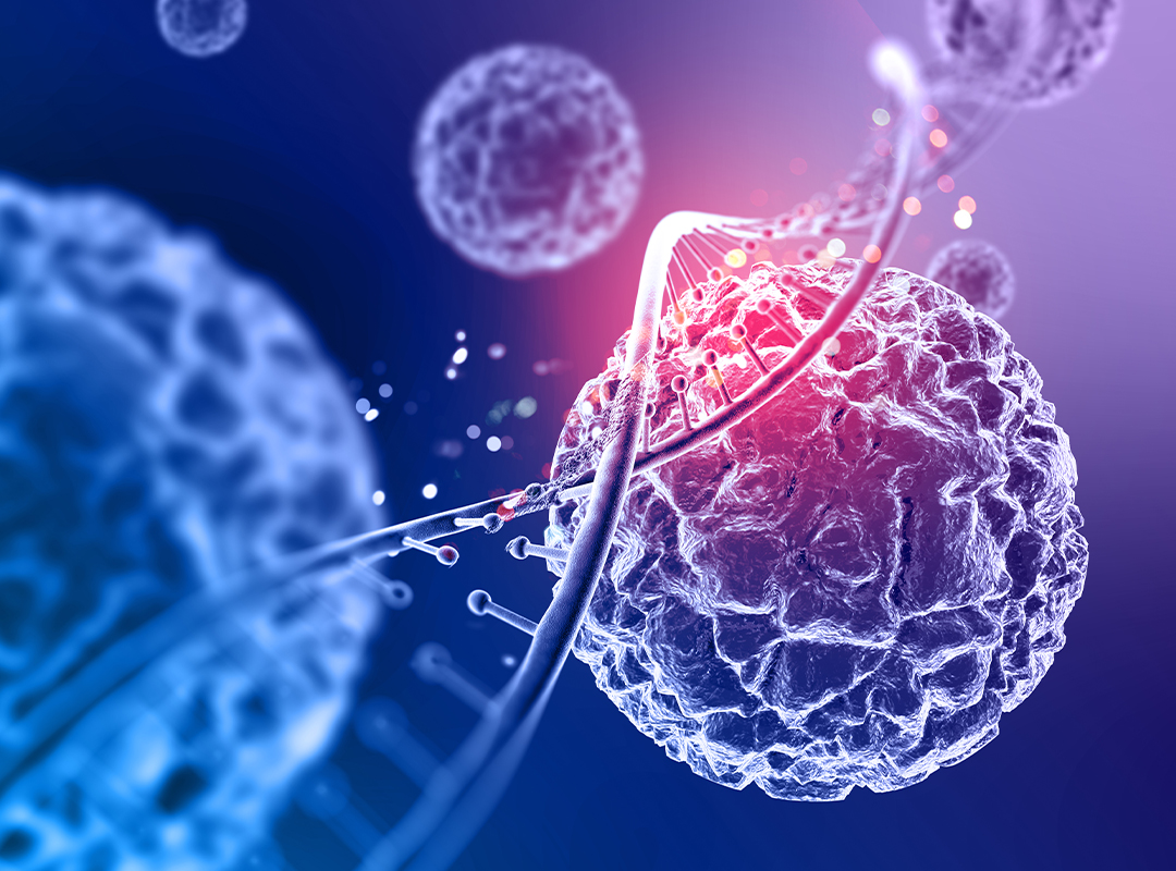 Stem Cell Therapy Centre